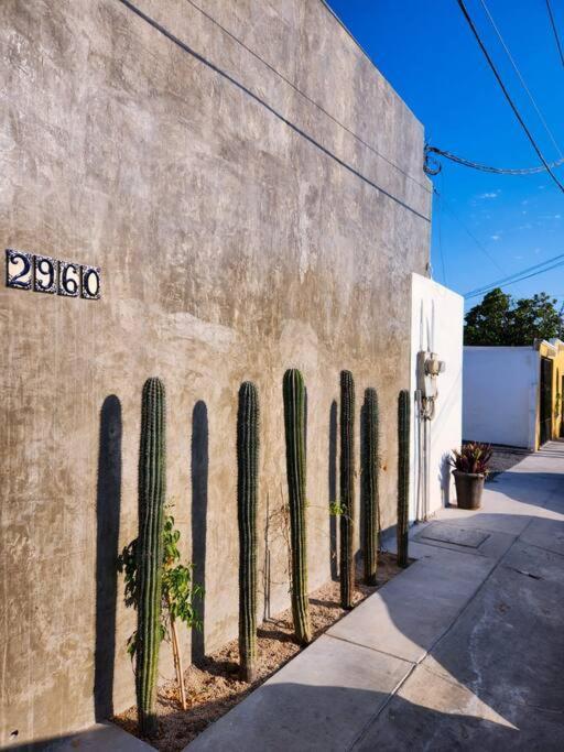 Departamento Con Terraza Apartment La Paz Exterior photo